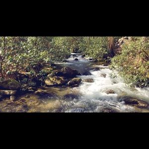 Meet your Posher, Severeign